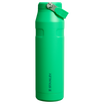 Stanley 36 OZ IceFlow Aerolight Water Bottle With Flip Straw In Meadow Green