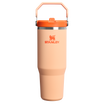 The IceFlow™ Flip Straw Tumbler | 30 OZ - Stanley Create