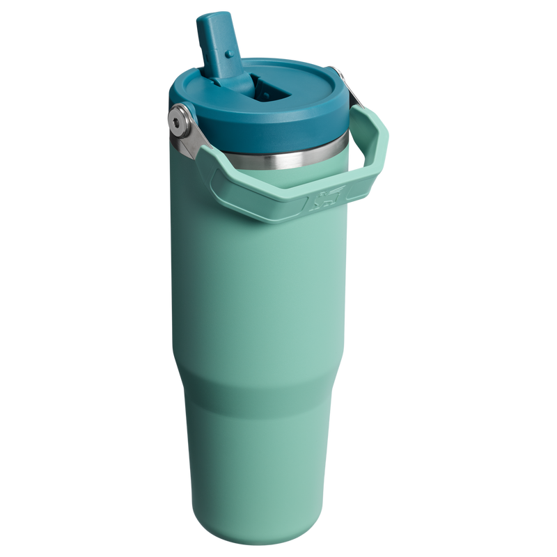 Stanley 1913 The IceFlow™ Flip Straw Tumbler 30 OZ in Spring Green | Back View