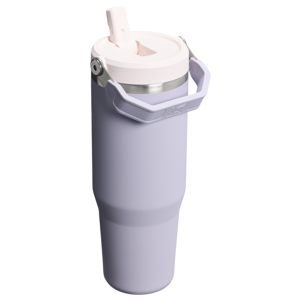 Stanley 1913 The IceFlow™ Flip Straw Tumbler 30 OZ in Purple Dust