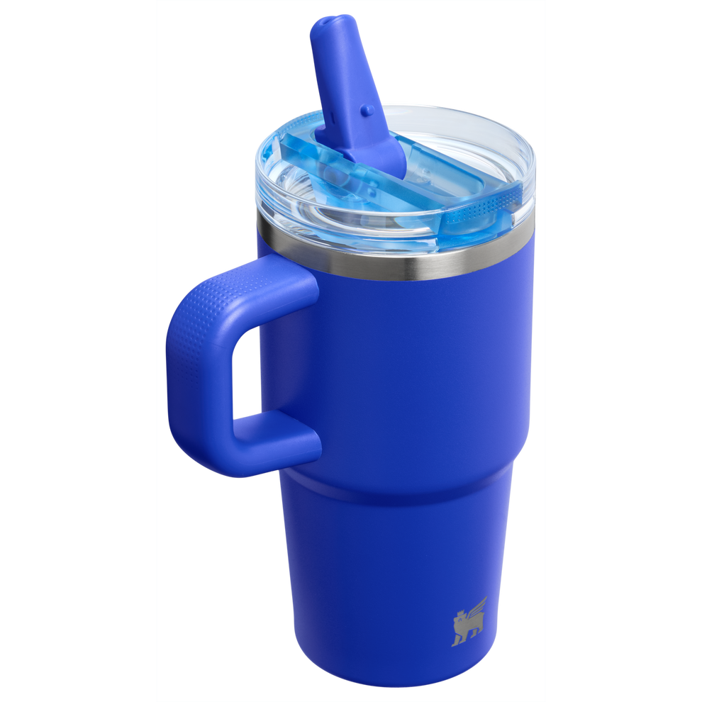 Stanley 1913 The Quencher ProTour Flip Straw Tumbler 20 OZ in Cobalt | Back View