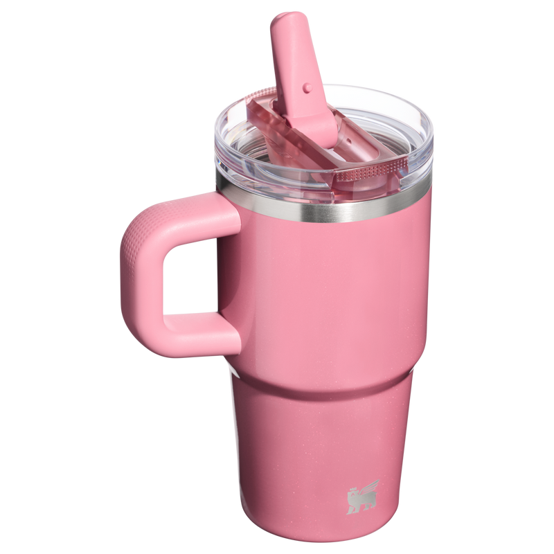 Stanley 1913 The Quencher ProTour Flip Straw Tumbler 20 OZ in Port Shimmer | Back View