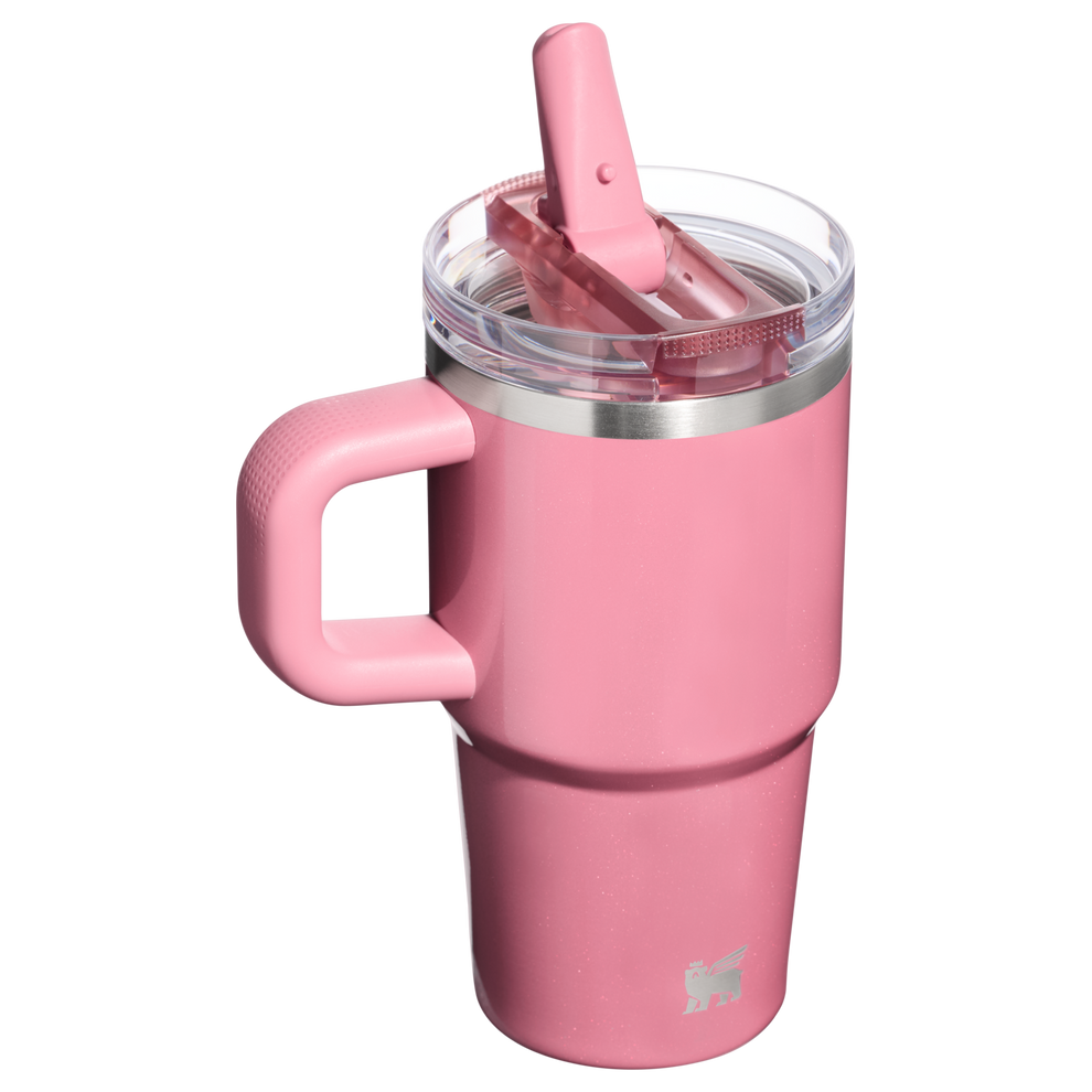 Stanley 1913 The Quencher ProTour Flip Straw Tumbler 20 OZ in Port Shimmer