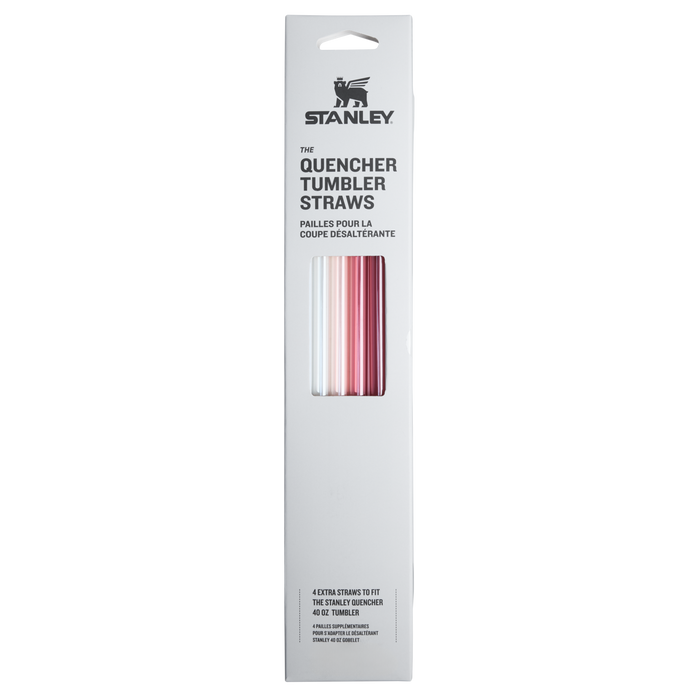 Stanley Quencher Replacement Straws 30OZ Fall Multi Pack