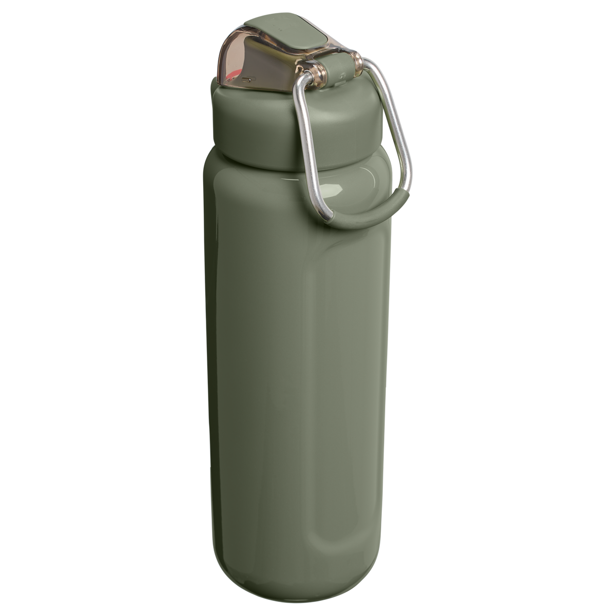 Stanley 1913 The Wellspring Bottle 24 OZ in Dried Pine Gloss | Back View