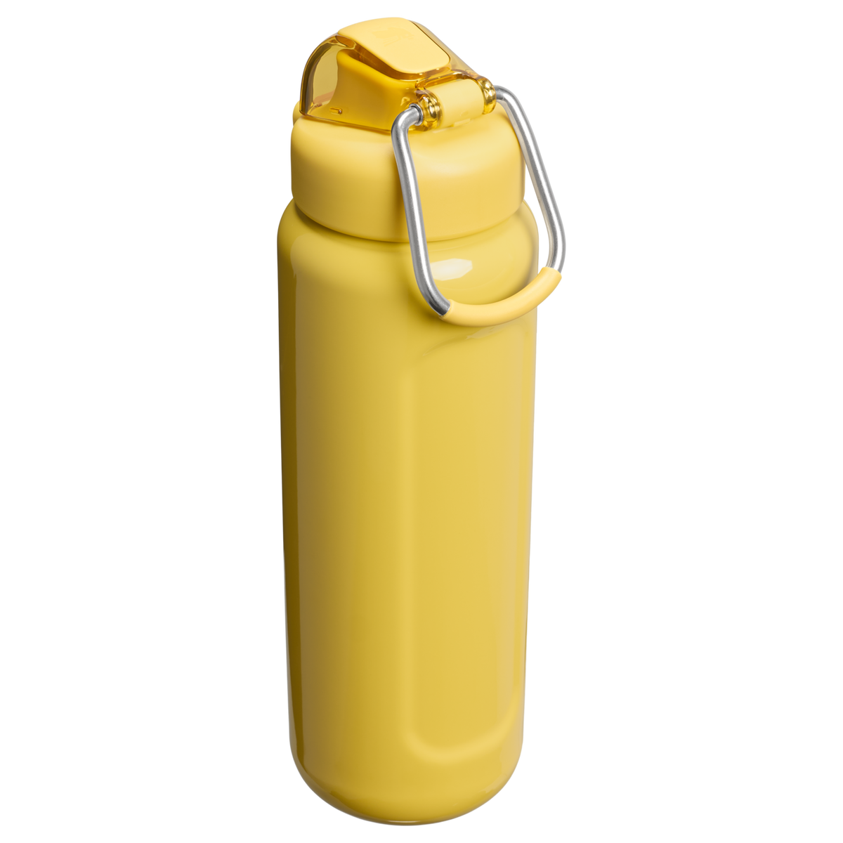 The Wellspring Bottle | 24 OZ  Stanley 1913