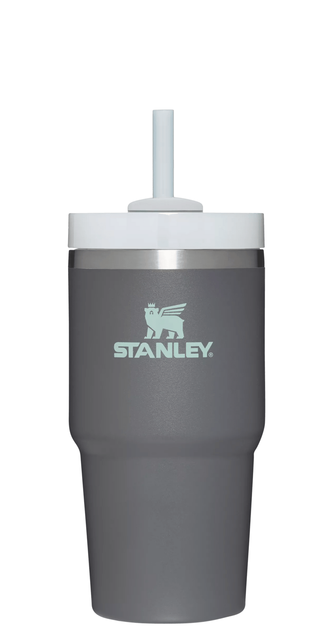 Stanley 20 oz. Quencher H2.0 FlowState Tumbler, Charcoal