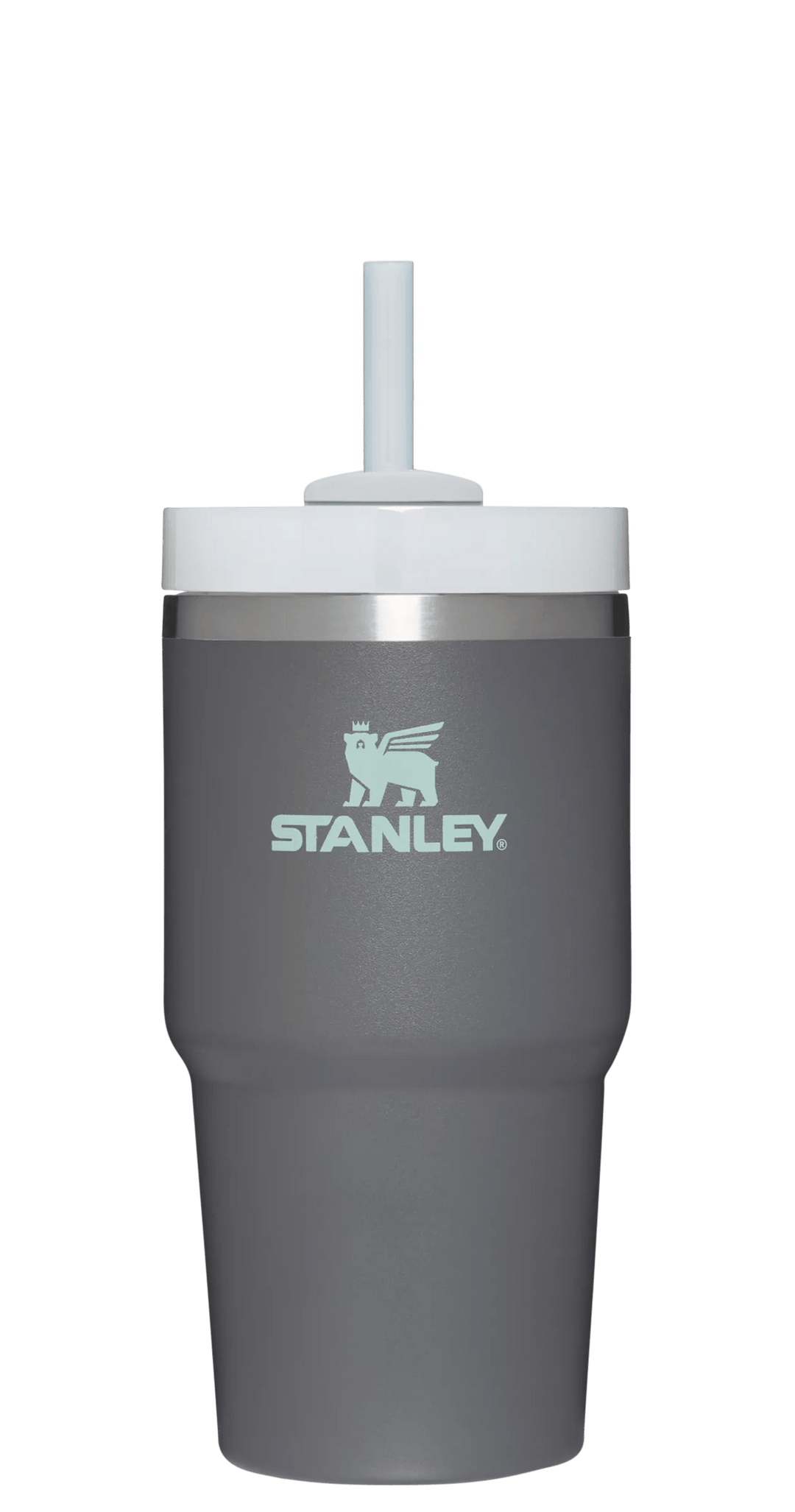 Got my toddler a 20 oz stanley tumbler! How adorable is this?!💗🥹 #st, 20 oz stanley cups